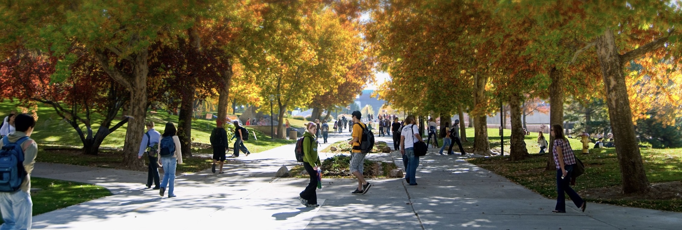 campus walkway 2